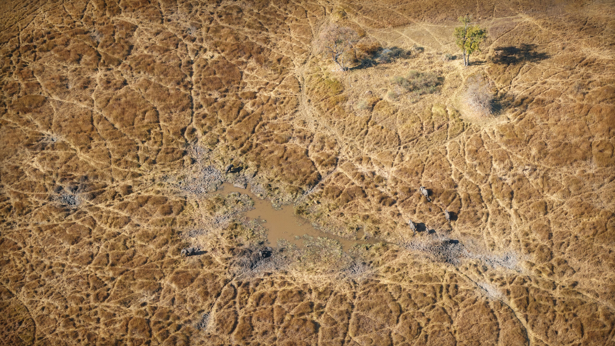 Groundwater Depletion in the UAE: Causes, Consequences, and Solutions