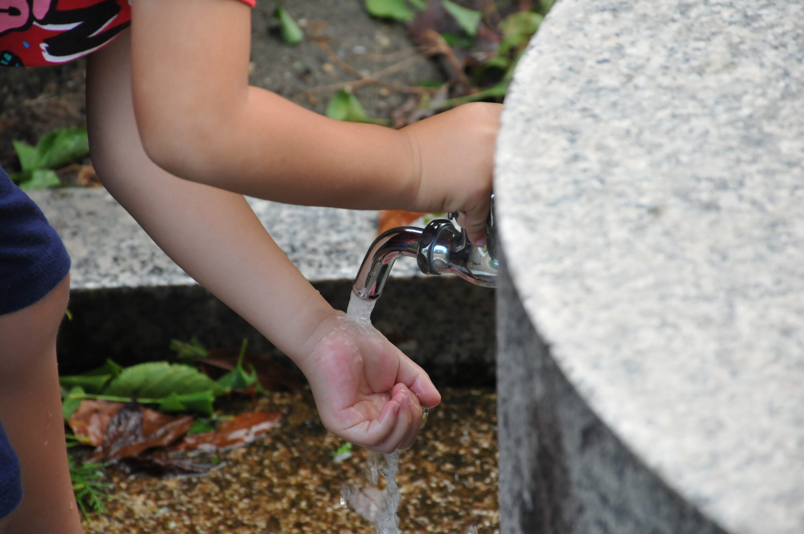 Water Conservation Simple Steps Every Household Can Take